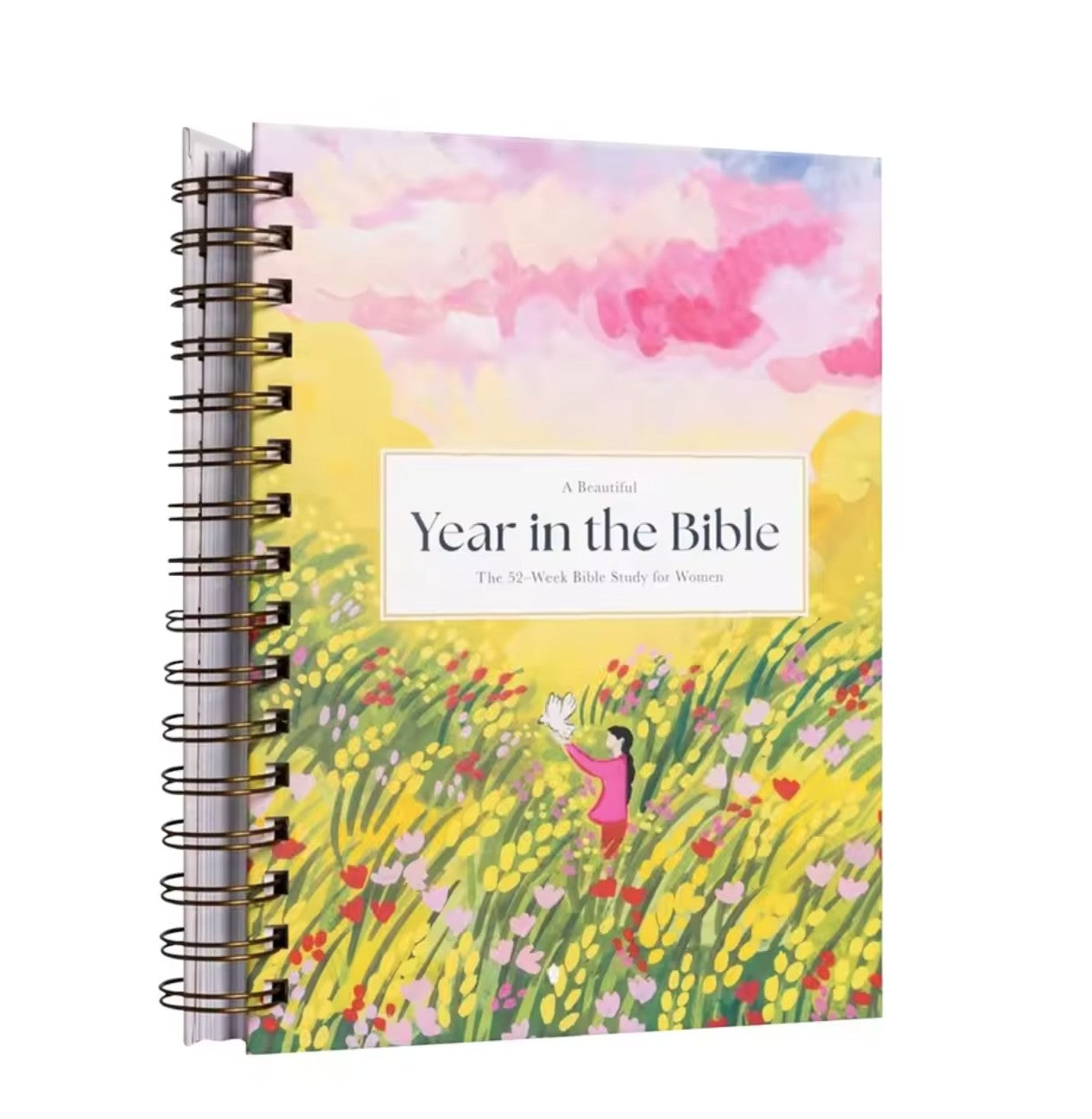 A Beautiful Year in The Bible